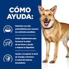 Hill's Prescription Diet Digestive Care i/d Pavo lata para perros, , large image number null